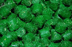amurové pelety Amur Special Pellets 1kg,10kg