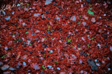IQ Method Mix Fruit 1,5kg