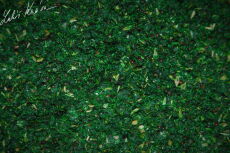 IQ Method Mix Amur 1,5kg
