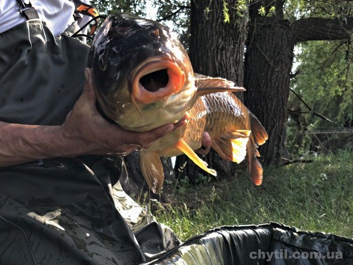 ch2