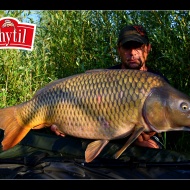ryby Яervenec 2015 063