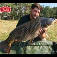 ch4